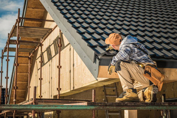 Best Roof Gutter Cleaning  in Newport, OH