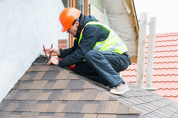Best Storm Damage Roof Repair  in Newport, OH