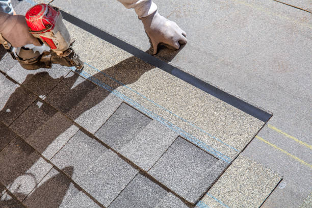 Best Metal Roofing Contractor  in Newport, OH
