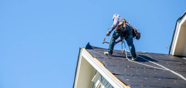 Best Residential Roofing Contractor  in Newport, OH